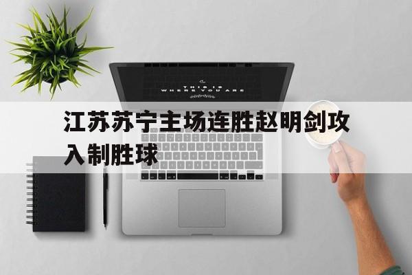 江苏苏宁主场连胜赵明剑攻入制胜球